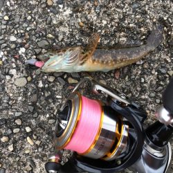 ライトゲームで4目